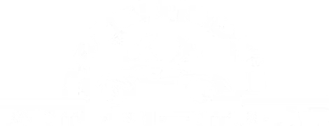 Robertson's Paintless Dent Repair